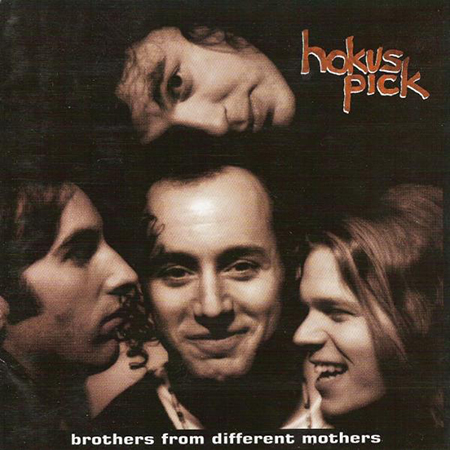 Safe Assumption by Hokus Pick